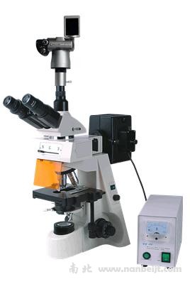 BM-19AYS数码荧光显微镜