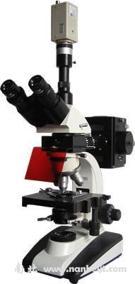 BM-20AYC电脑型落射荧光显微镜