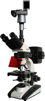 BM-20AYS数码落射荧光显微镜