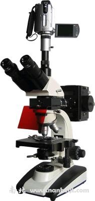 BM-20AYV摄像落射荧光显微镜