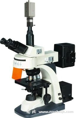 BM-21AYC电脑型落射荧光显微镜