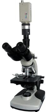 BM-14S数码暗视野显微镜