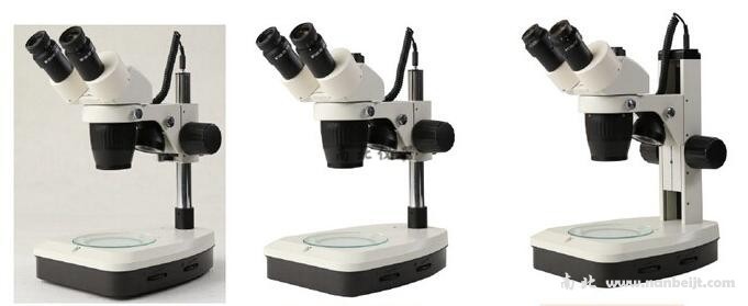 SM3-T24-L1定倍体视体式显微镜