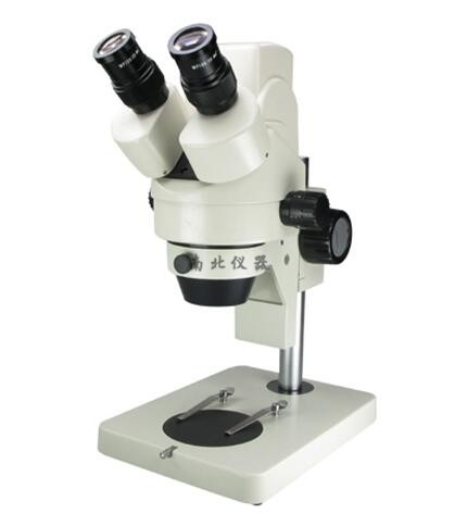 XTL-165-LD500U数码体视显微镜